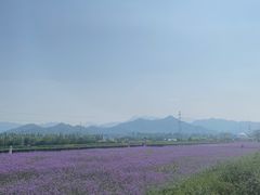 -君乐宝优致牧场