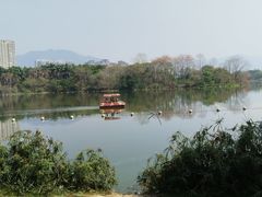 -飞来湖湿地公园