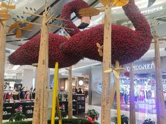 -凯德广场(学府店)