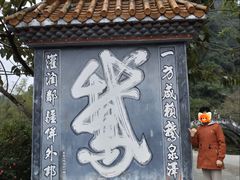 -靖西鹅泉风景区