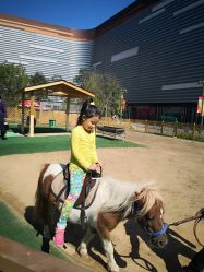 -萌宠亲子动物乐园(槐房万达店)