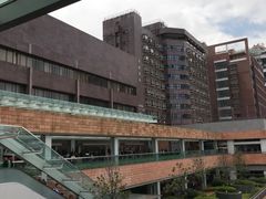 -香港大学