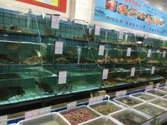水产区-海岛渔村大酒店(云霄路店)