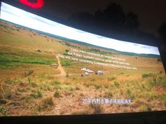 -枫花园汽车电影院(朝阳公园店)
