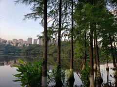 -重庆彩云湖湿地公园