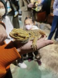 -酷嗒动物文化乐园(cutezoo西溪乐天城店)