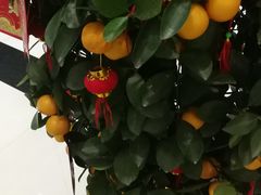 -上海华凯华美达广场酒店