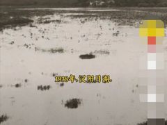-月湖风景区