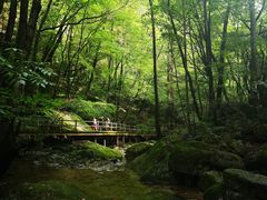 -牛背梁国家森林公园