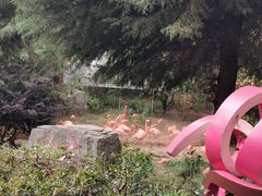 -云南野生动物园