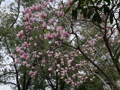 -武汉交通职业学院