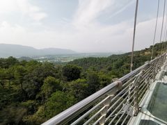 -南丹山森林王国