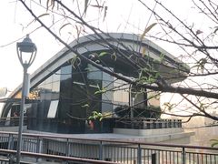 -金鸡山公园