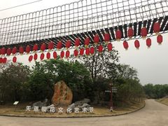 -天适樱花悠乐园