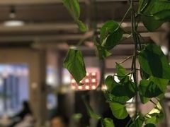 -RGF(巨鹿路店)
