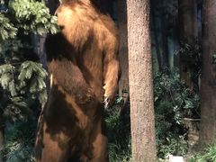 -陕西自然博物馆