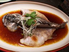 清蒸鲈鱼-北平盛世·新京菜·北京烤鸭(劲松·双井店)