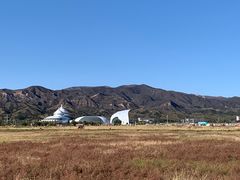 -敕勒川草原