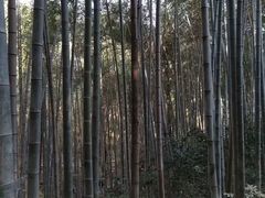 -敬亭山风景名胜区