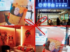 -野萃山·潮汕厚果汁(十亩地店)