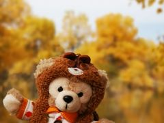 -金塔沙漠胡杨林景区