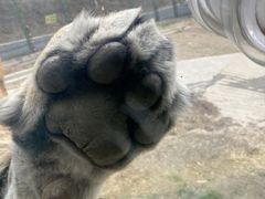 -栾川竹海野生动物园