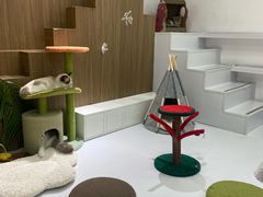 -COLOR PETS 撸猫馆·购猫·猫咖(长风大悦城店)