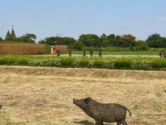 -良渚古城遗址公园