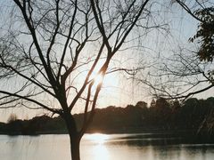 -苏州东太湖生态园