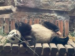 -石家庄市动物园