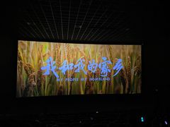 -太平洋影城(深圳8号仓店)