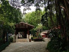 -乌山风景区