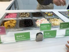 -Salud撒露欧洲冻酸奶(蓝色港湾店)