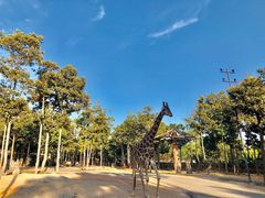 -清迈夜间动物园