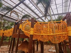 -呀路古热带植物园
