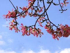 -风云岭森林公园
