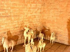 -洛阳古墓博物馆