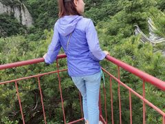 -王顺山国家森林公园