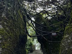 -山王坪喀斯特国家生态公园