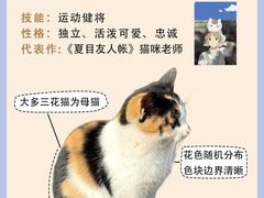 -翊宠yipet猫狗购宠庄园犬舍•猫舍