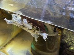 -北京天域联达耳机店(财智国际大厦店)