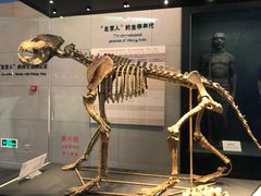 -北京周口店北京人遗址博物馆