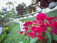 景点-龙环葡韵住宅式博物馆