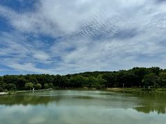 -宜兴龙背山森林公园