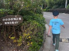 -上海崇明金茂凯悦酒店