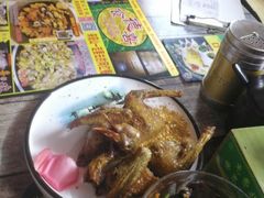-食德喜·阳山鸡王食研基地
