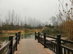 -白鹭湾湿地公园