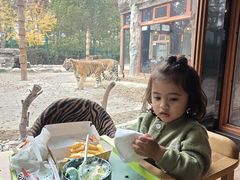 -上海野生动物园老虎餐厅