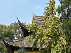 -西园戒幢律寺