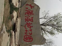 大港湿地公园-大港湿地公园